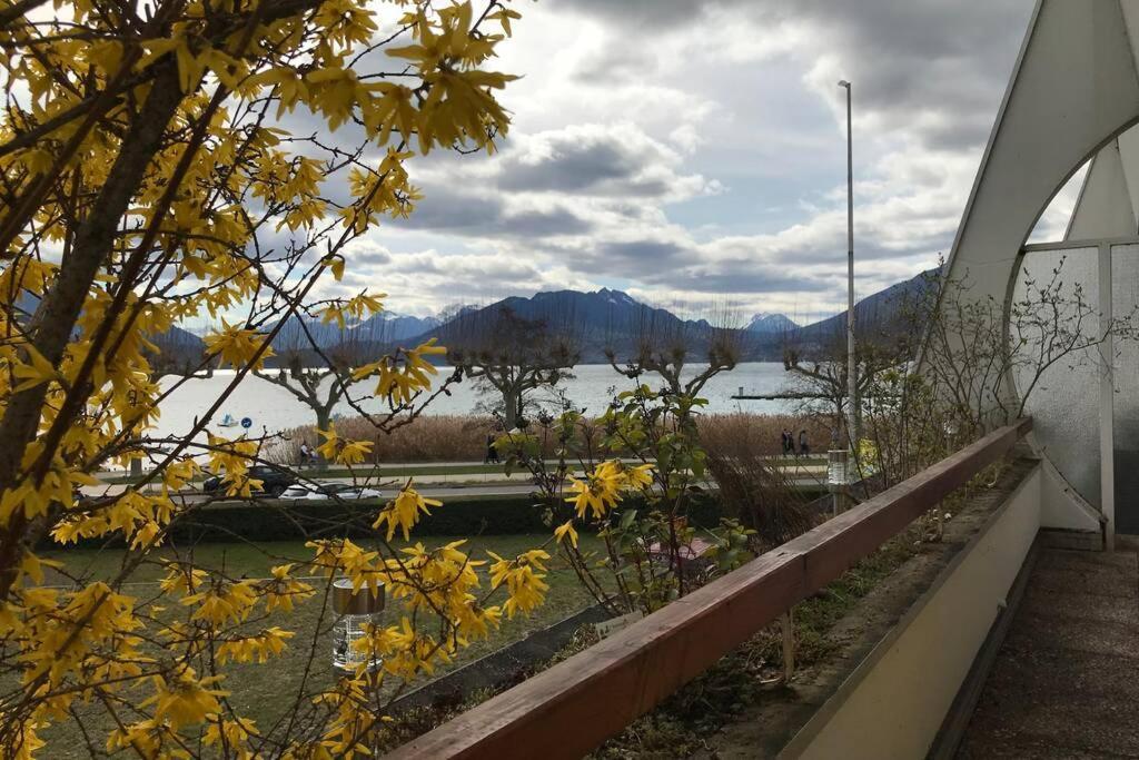 Chez Jacques - Terrasse Avec Vue Lac Et Montagne Аннесі Екстер'єр фото